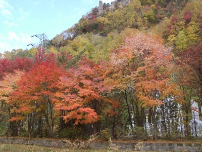 紅葉
