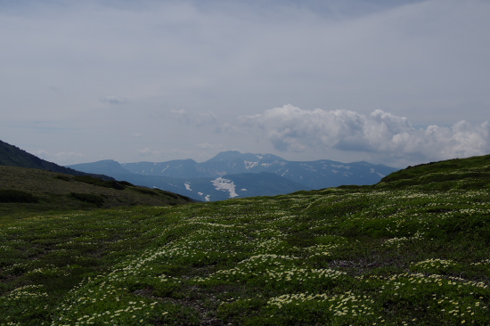 長い道のり
