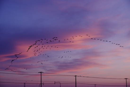春の夕暮れ