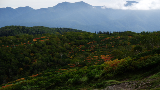 山の秋