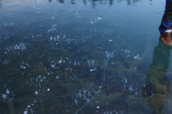 氷の下の世界