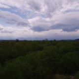 prev