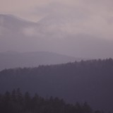 prev