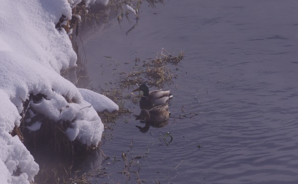 シュールなやりとり