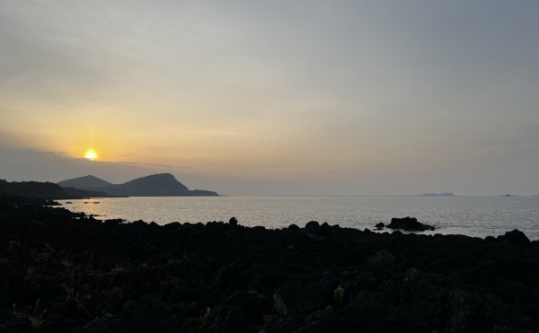 島の朝（出張編）