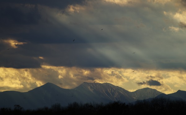 自分のペースで