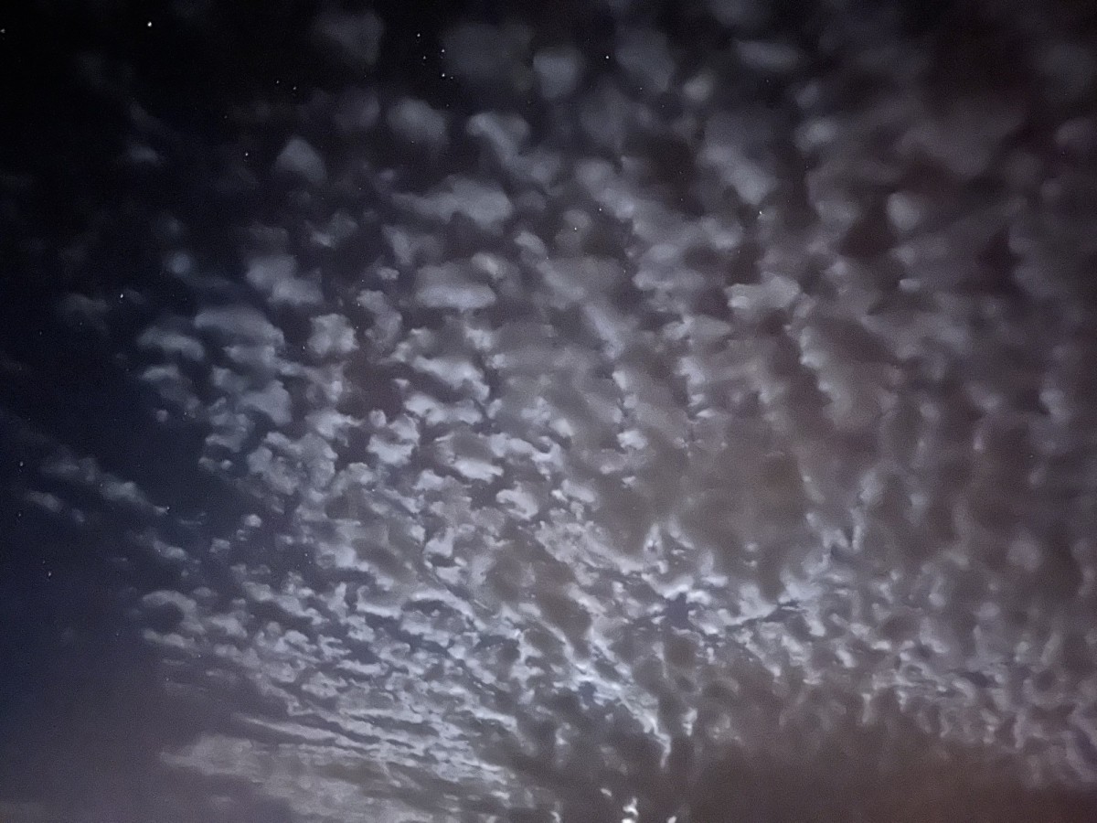 ひつじ雲 ひつじ雲／HUENS 株式会社ヒューエンス